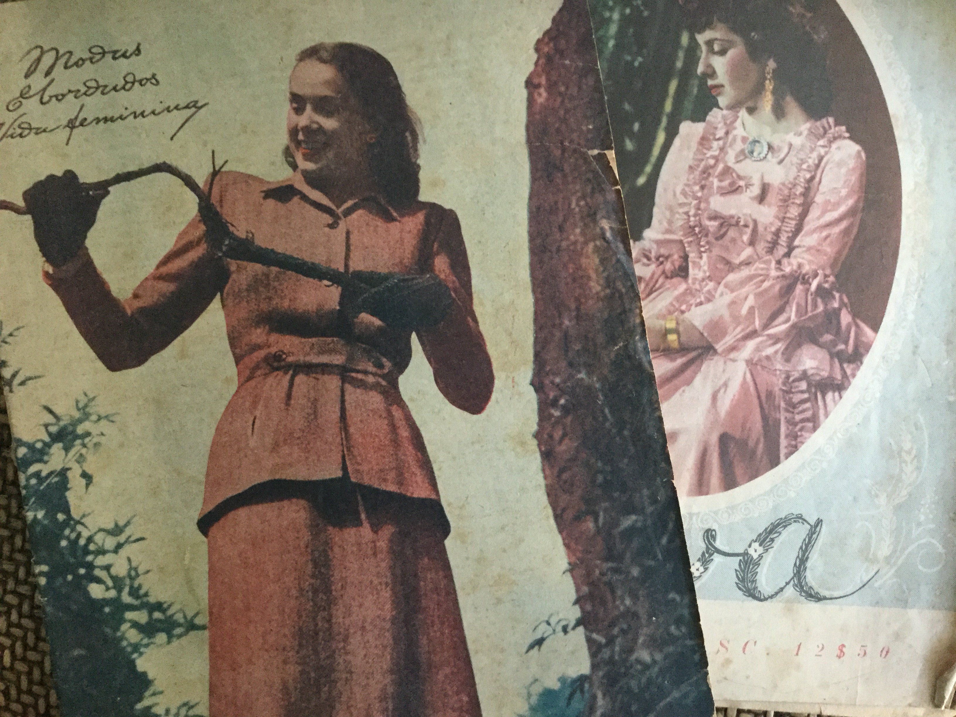 Maria Filomena Mónica e o mundo atual que já não compreende