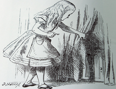 Alice, Maria João e Ricardo no país das maravilhas