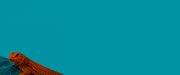 O Anão, Pär Lagerkvist