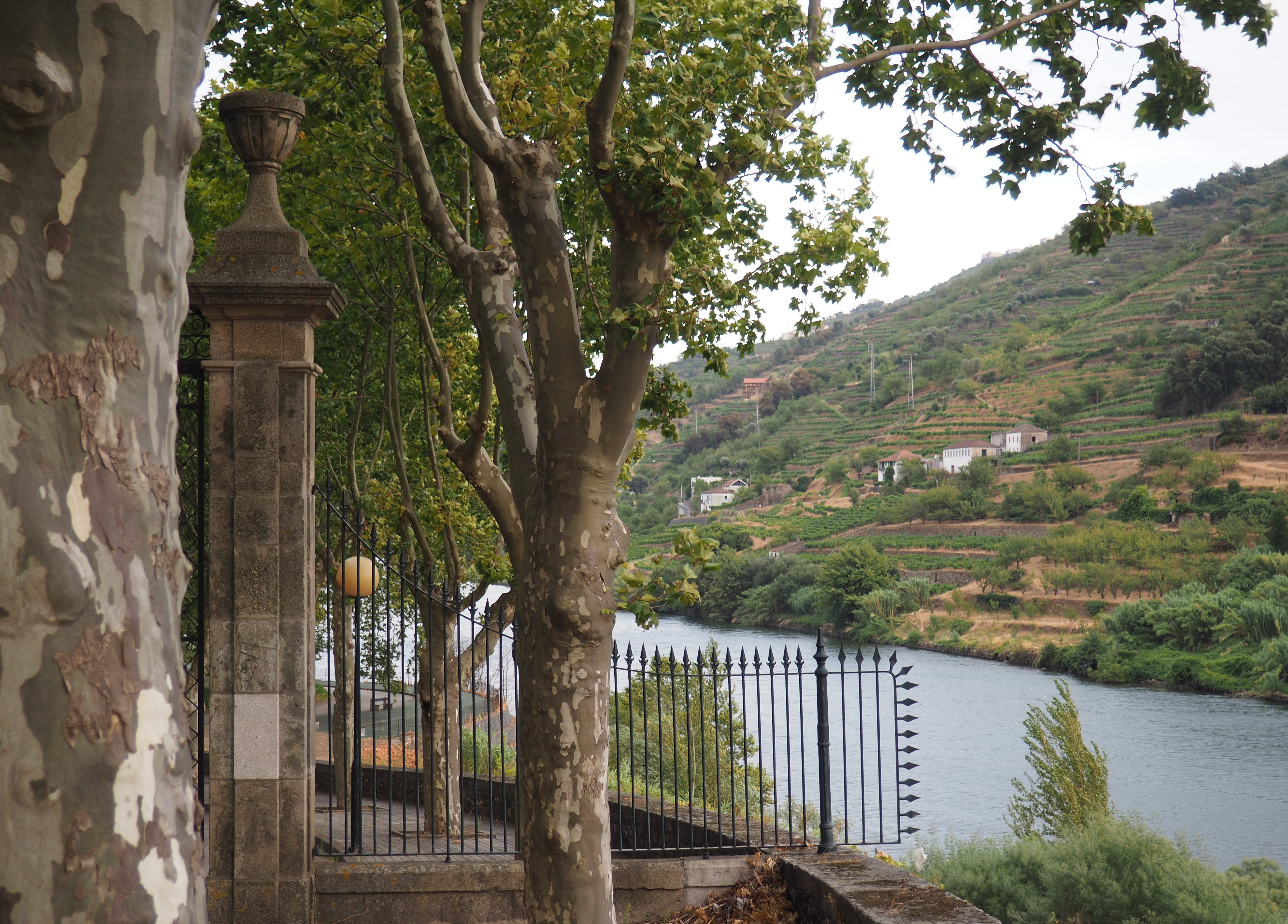 Périplo pelo norte do país