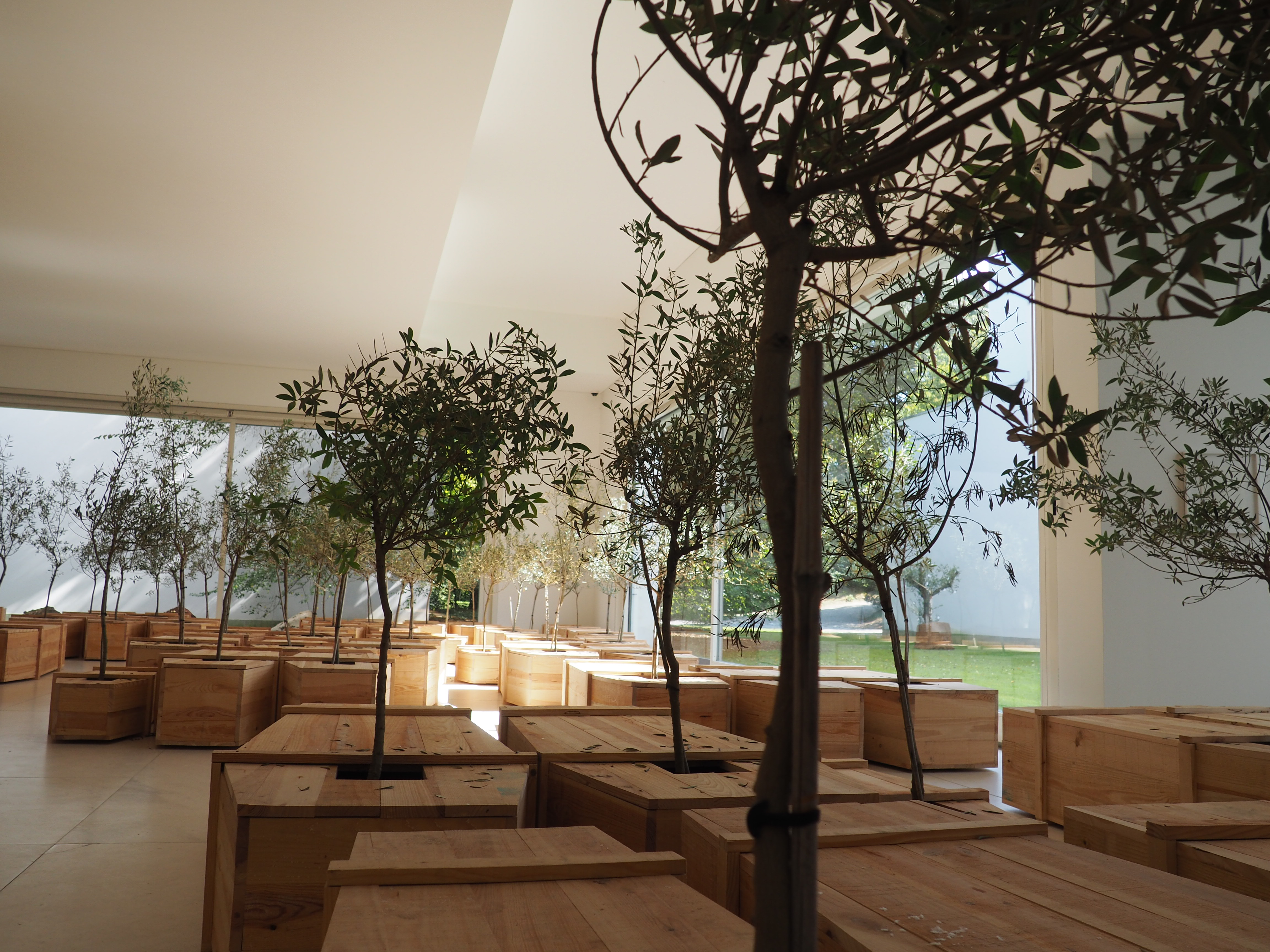 Sabe por que culpamos a vítima?