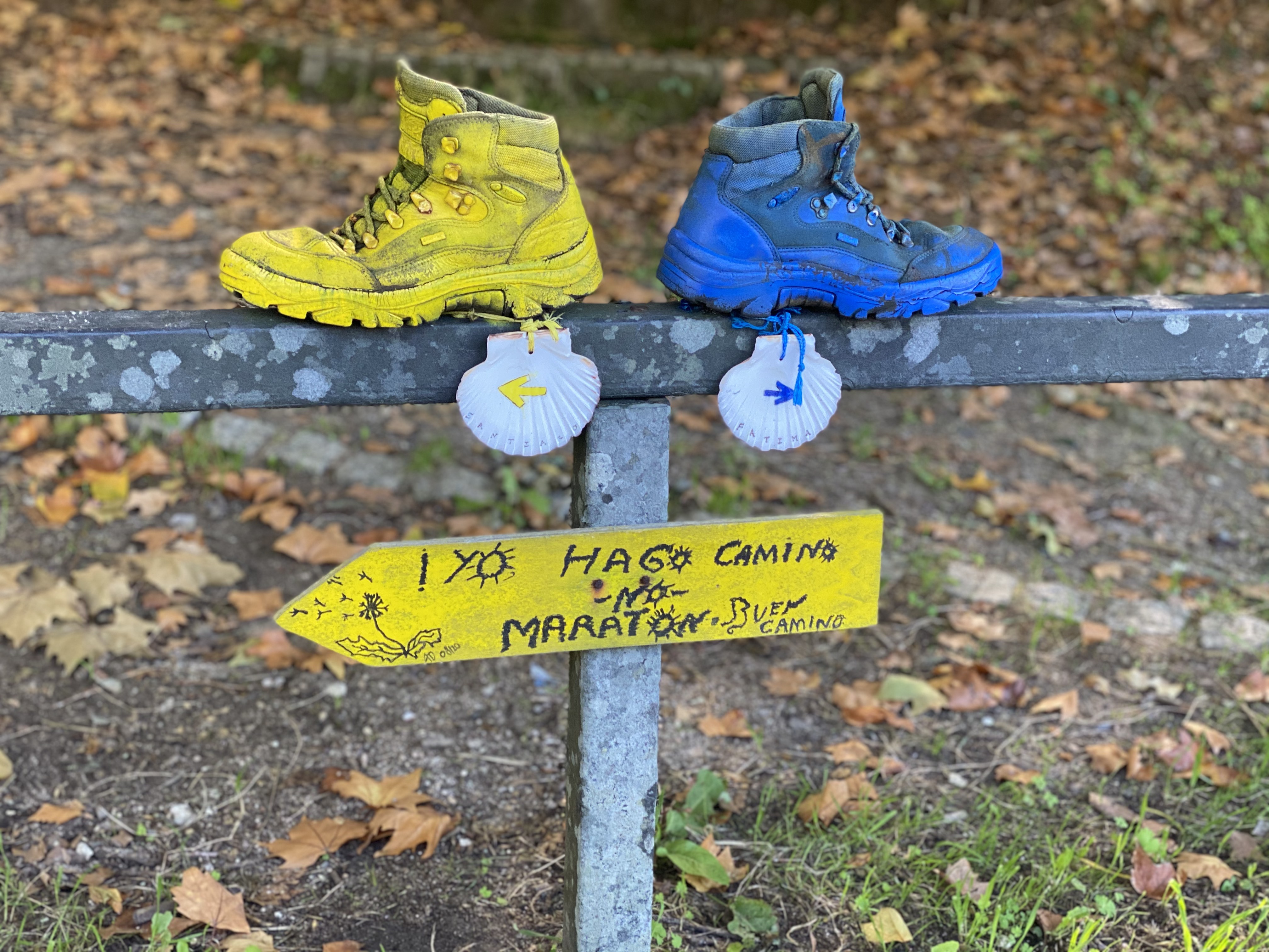 SIN VINO NO HAY CAMINO!