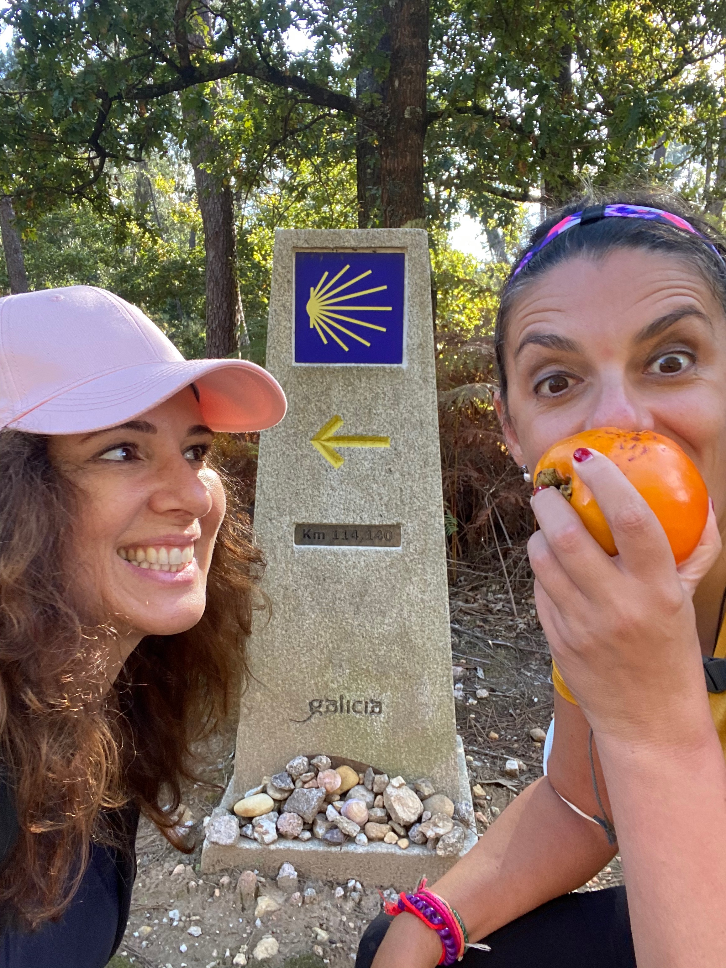 SIN VINO NO HAY CAMINO!