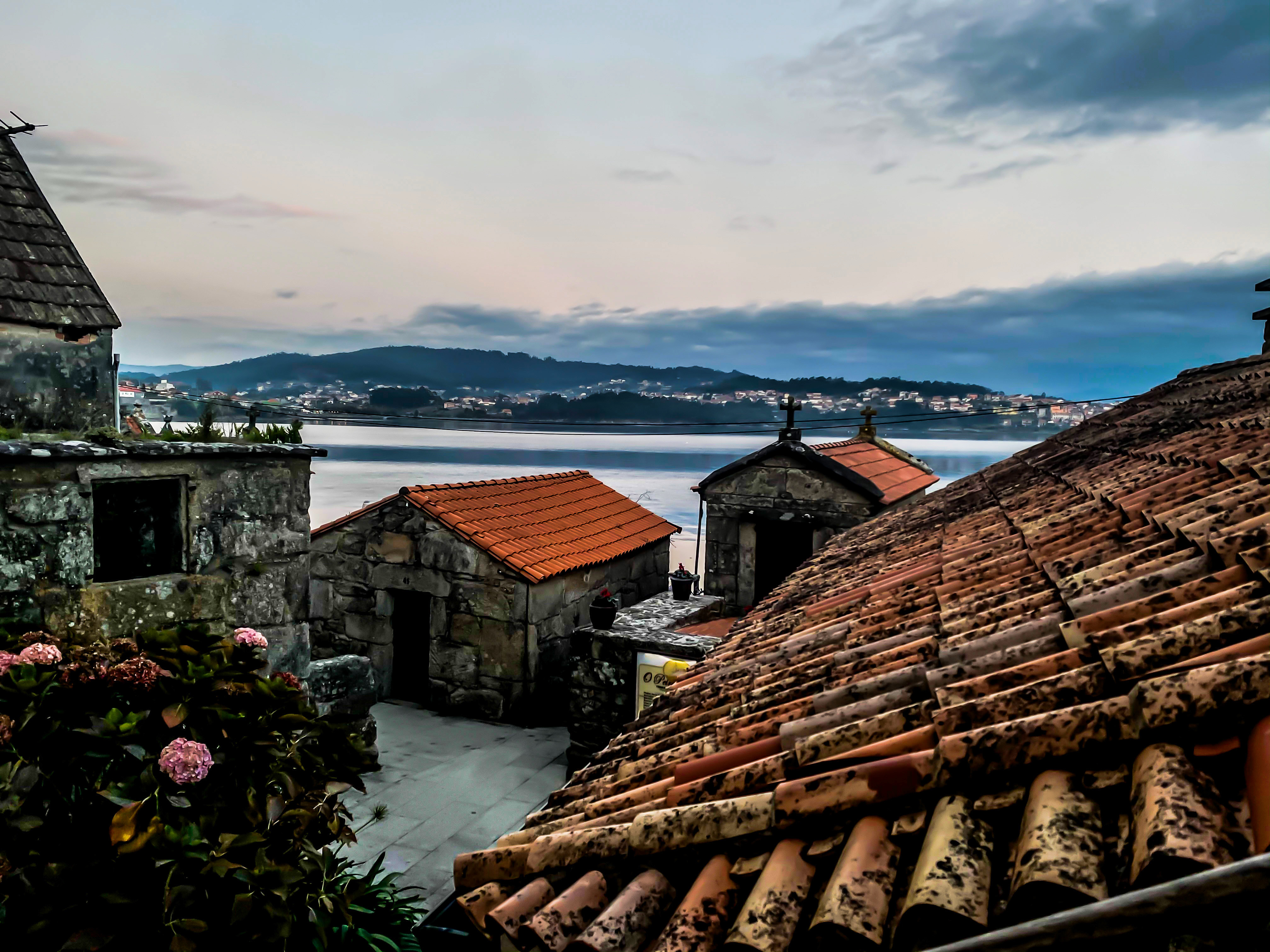 SIN VINO NO HAY CAMINO!