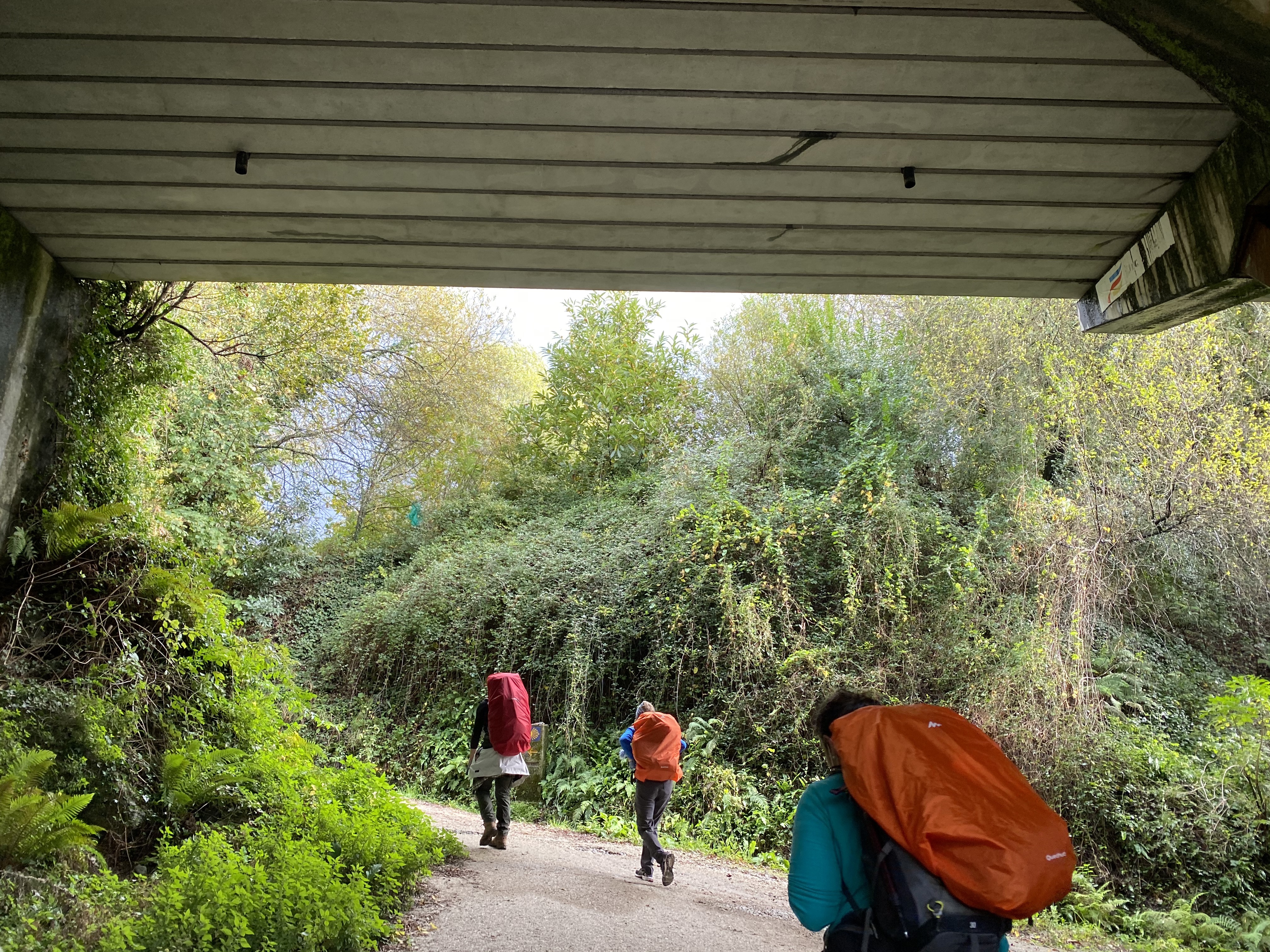 SIN VINO NO HAY CAMINO!